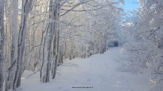 neve campigna boschiromagnoli